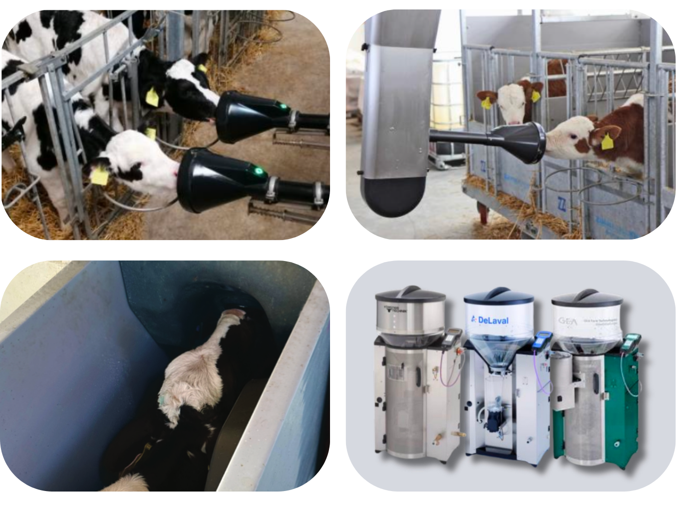 Ukázky krmících automatů pro telata pro struk MilkBar REVOLUTION2